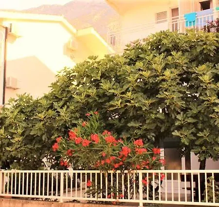 Apartman Rustico Appartement *